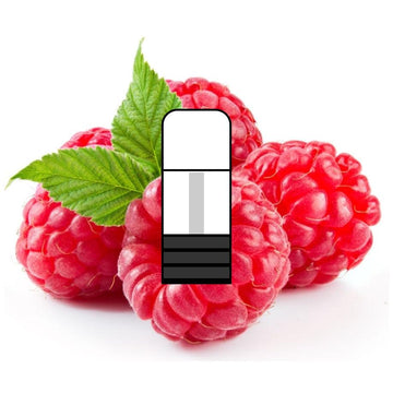 Raspberry Closed Pods - Vapor Shoppe