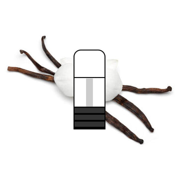 Vanilla Closed Pods - Vapor Shoppe