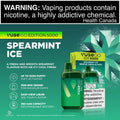Vuse GO 5000 - Spearmint Ice - Vapor Shoppe